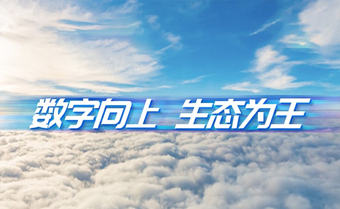 尊龙集团官网动力刘天文：数字向上  生态为王